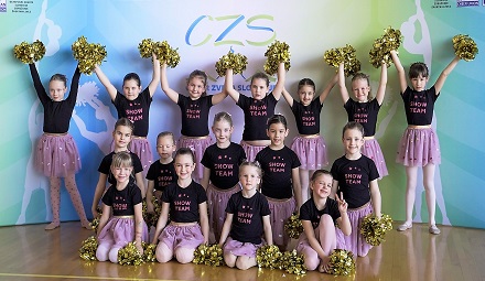 Show team MINI